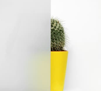 Ryterna Matte Glass